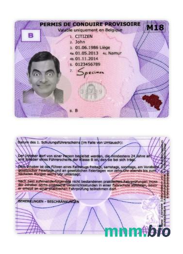 Szablon tymczasowego prawa jazdy w Belgii w formacie PSD, ze wszystkimi czcionkami